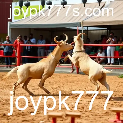 Sabong Online: A Experiência Digital com Joypk777